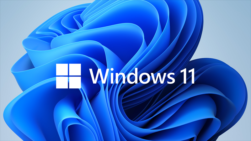 Buy Microsoft Windows 11 Home